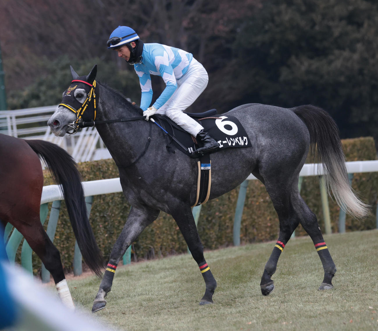 中山新春ジャンプSを制したフェーレンベルクと上野騎手（撮影・柴田隆二）