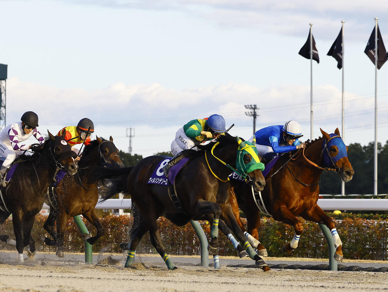 逃げ切ってチャンピオンズCを制したレモンポップ（右）（2024年11月30日撮影）