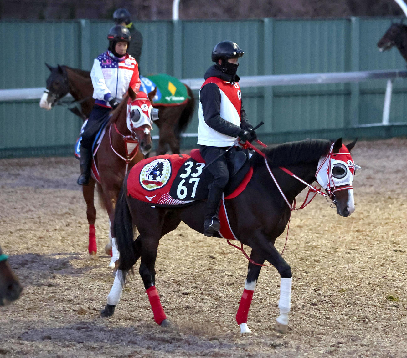 角馬場で運動するタイセイカレント（撮影・白石智彦）