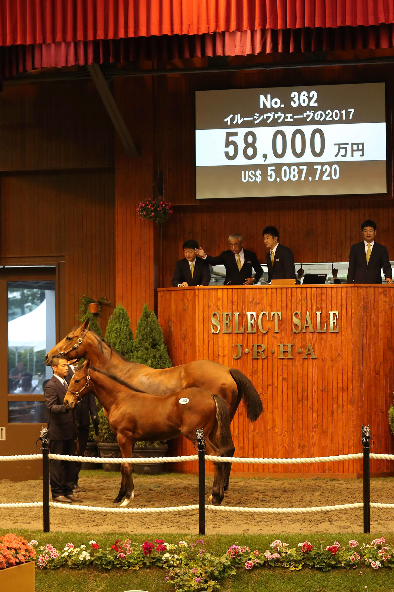 17年セレクトセールで5億8000万円で落札されたイルーシヴウェーヴの2017