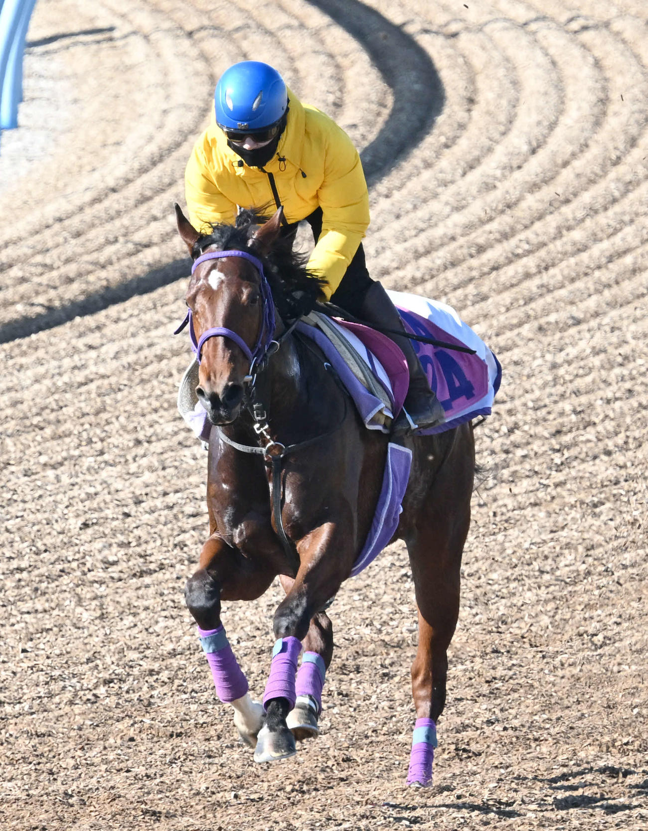 美浦ウッドを単走で追い切るニシノラヴァンダと菅原騎手（撮影・千葉一成）