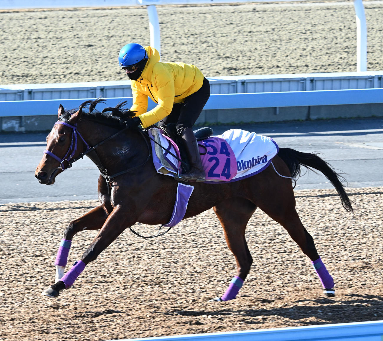 美浦ウッドを単走で追い切るニシノラヴァンダと菅原騎手（撮影・千葉一成）