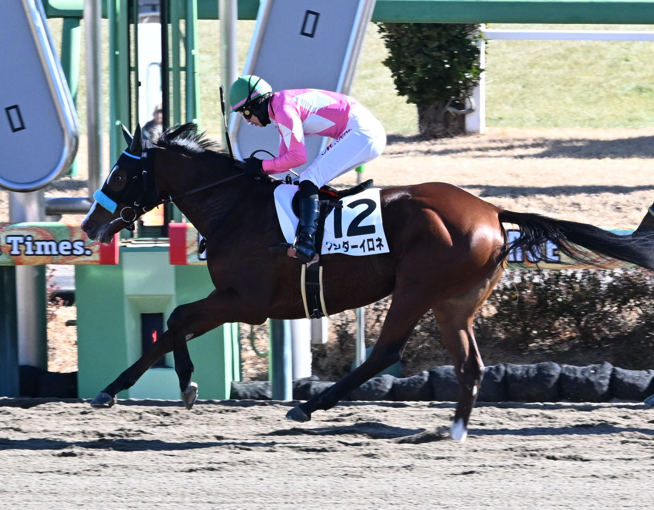 中山4R、3歳新馬戦を制したワンダーイロネと丸山騎手（撮影・千葉一成）