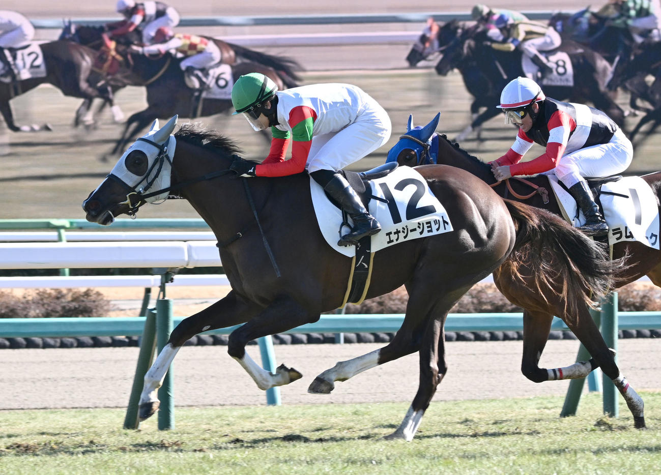 中山5R、3歳新馬戦を制したエナジーショットと横山琉騎手（撮影・千葉一成）