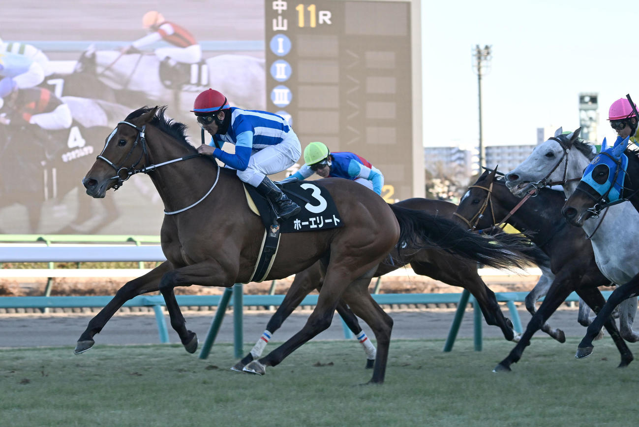 中山11R、迎春Sを制したホーエリートと戸崎騎手（左）（撮影・千葉一成）