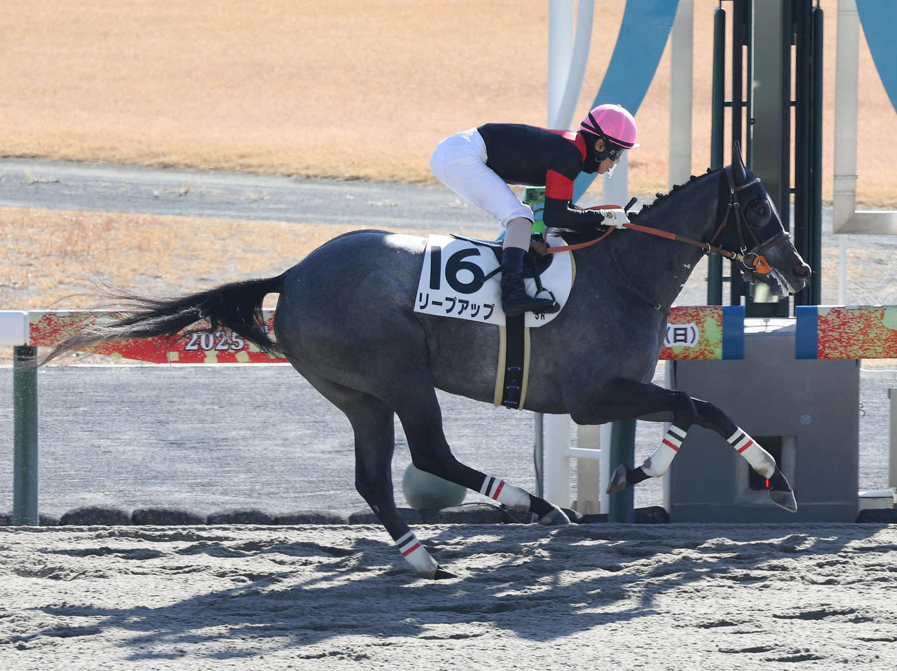 中京3R、直線抜け出して新馬戦を制したリープアップ（撮影・白石智彦）