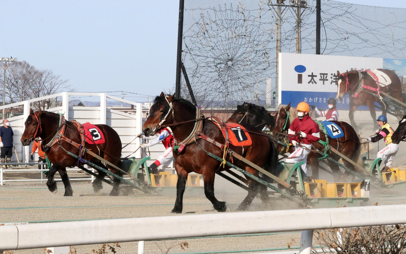 ばんえい競馬のレース風景（2021年2月撮影）