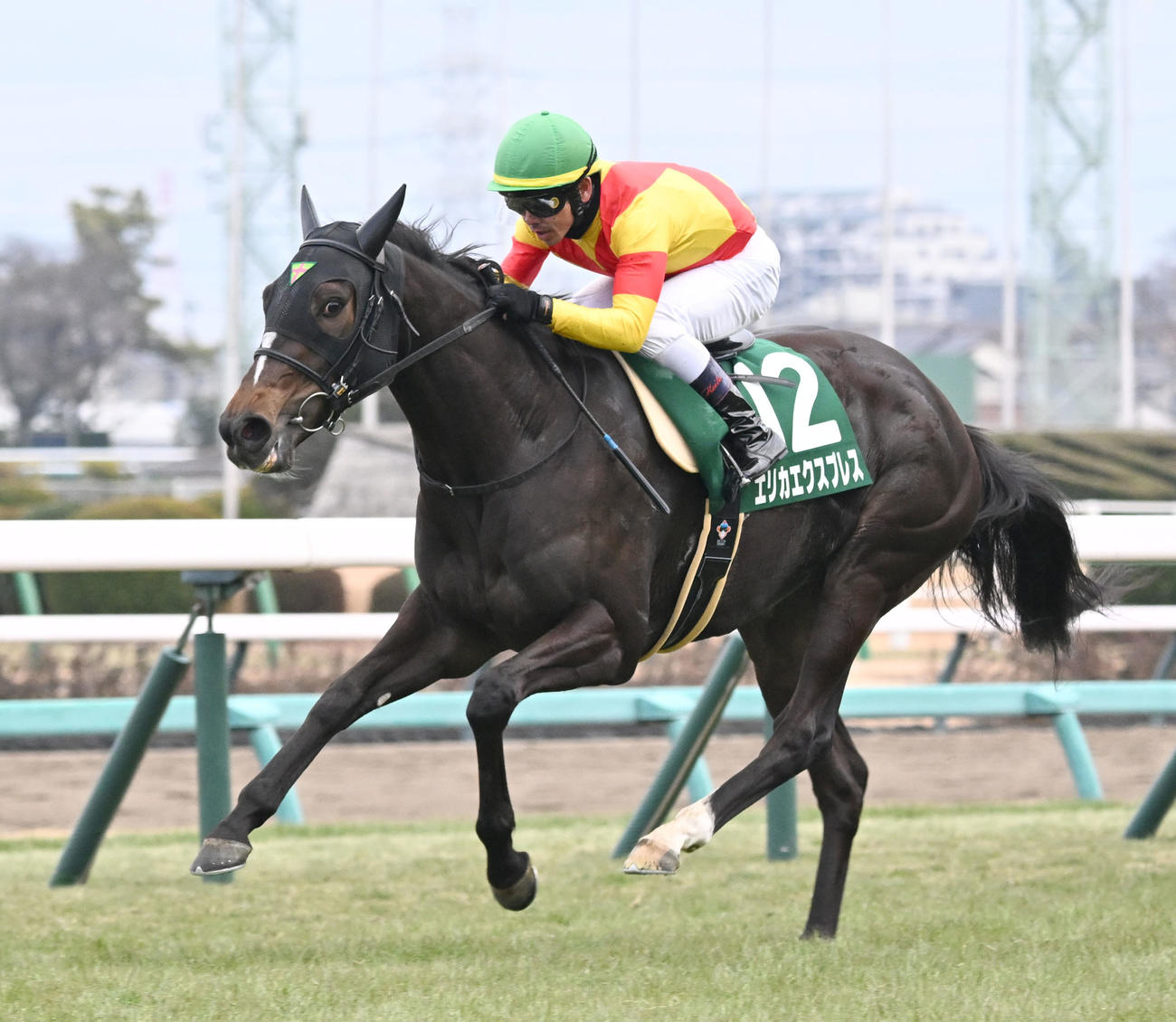 中山11R、フェアリーSを制したエリカエクスプレスと戸崎騎手（撮影・千葉一成）