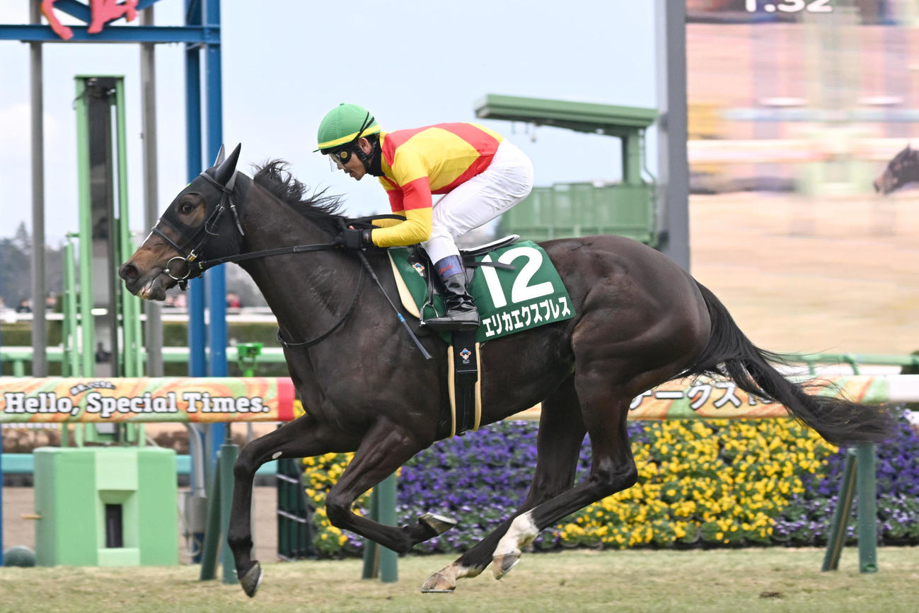 中山11R、フェアリーSを制したエリカエクスプレスと戸崎騎手（撮影・千葉一成）