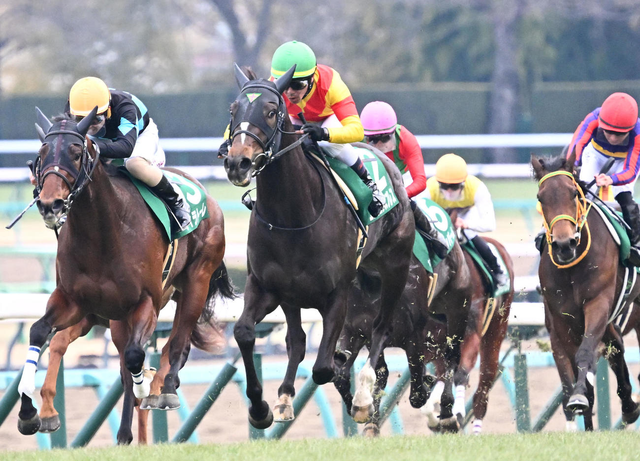 中山11R、フェアリーSを制したエリカエクスプレスと戸崎騎手（中央）（撮影・千葉一成）