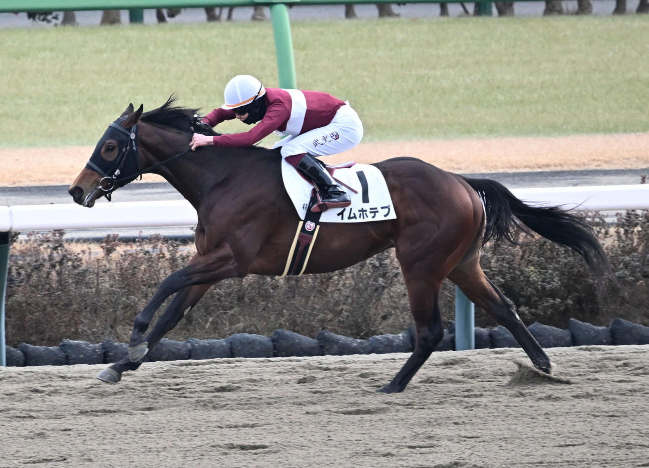 中山4R、3歳新馬戦を制したイムホテプと横山武騎手（撮影・千葉一成）