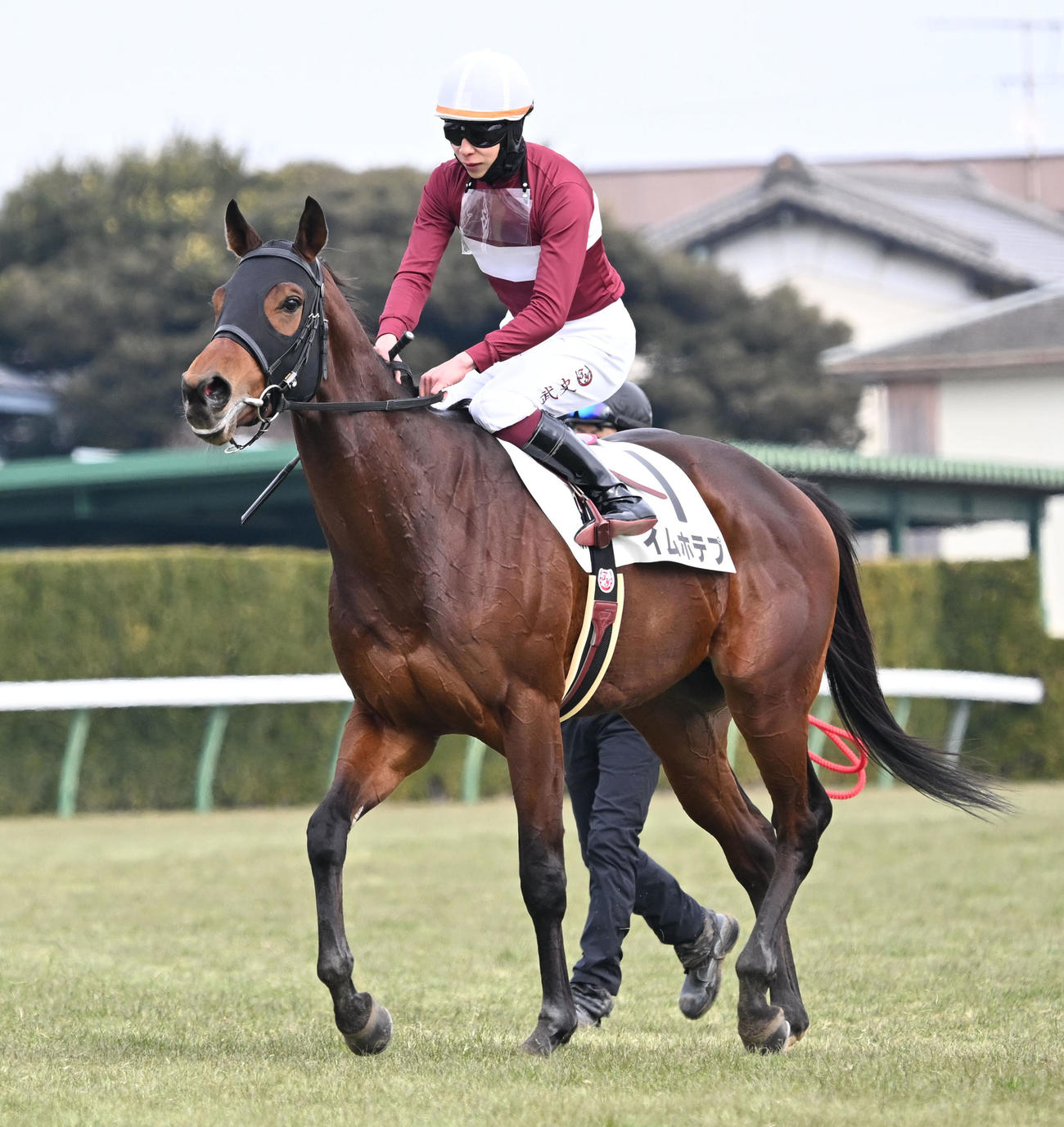 中山4R、3歳新馬戦を制したイムホテプと横山武騎手（撮影・千葉一成）