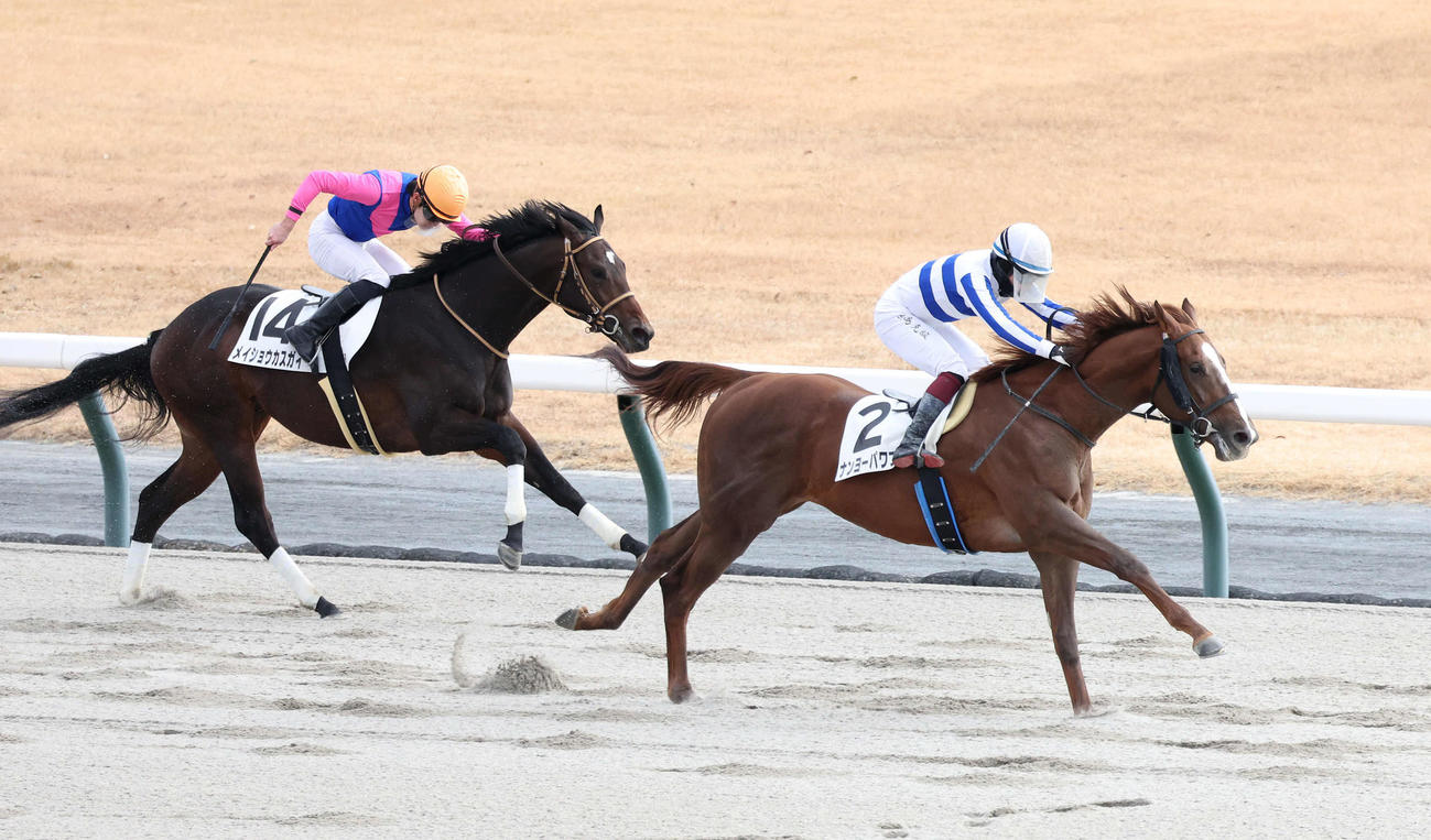 中京5R、直線鋭く伸びて新馬戦を制したナンヨーパワフル（右）（撮影・白石智彦）
