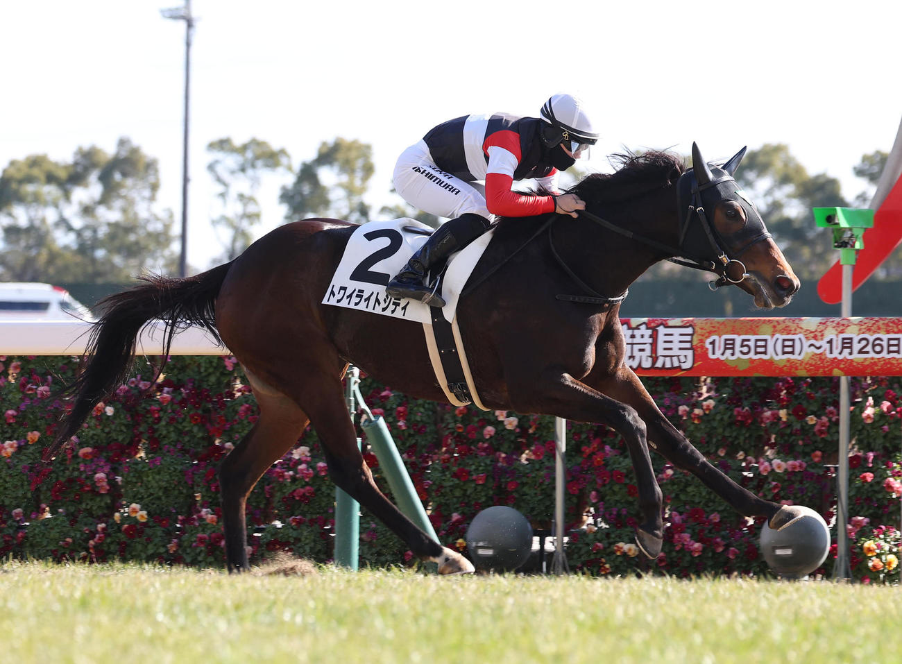 中京5R、直線抜け出して新馬戦を制したトワイライトシティ（撮影・白石智彦）