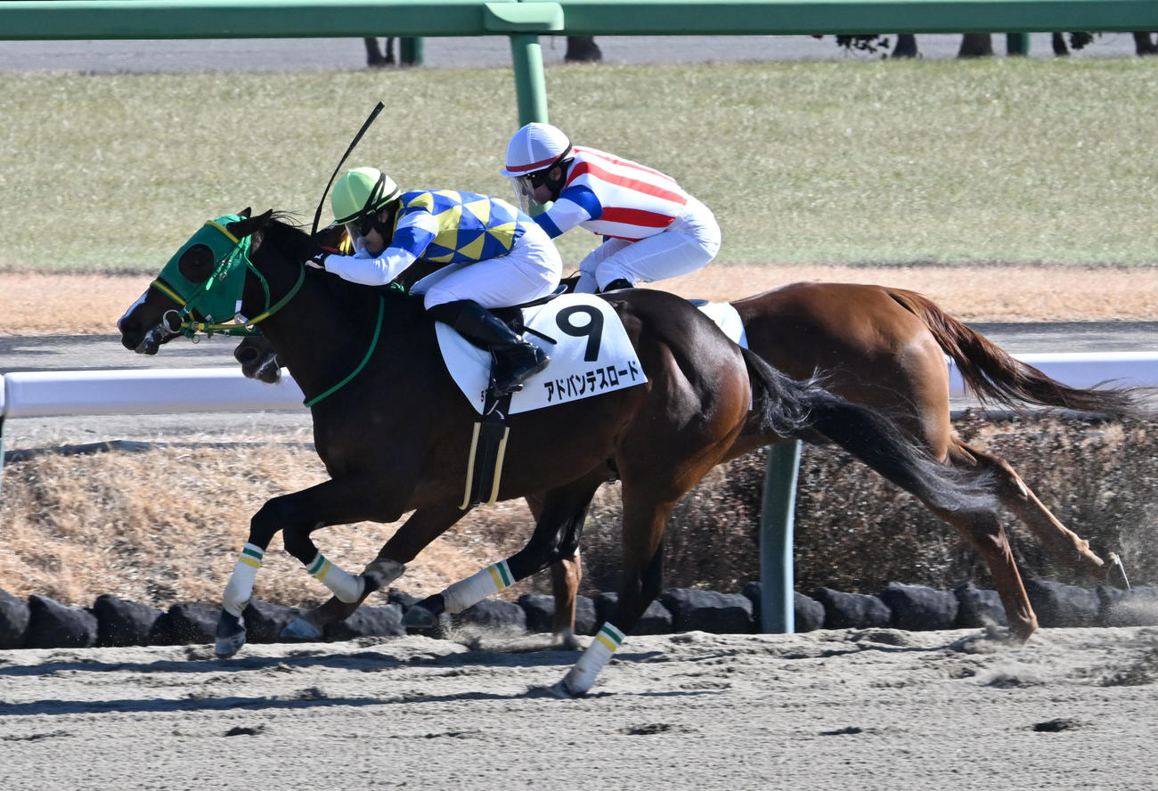 中山5R、3歳新馬戦を制したアドバンテスロードと横山琉騎手（左）（撮影・千葉一成）