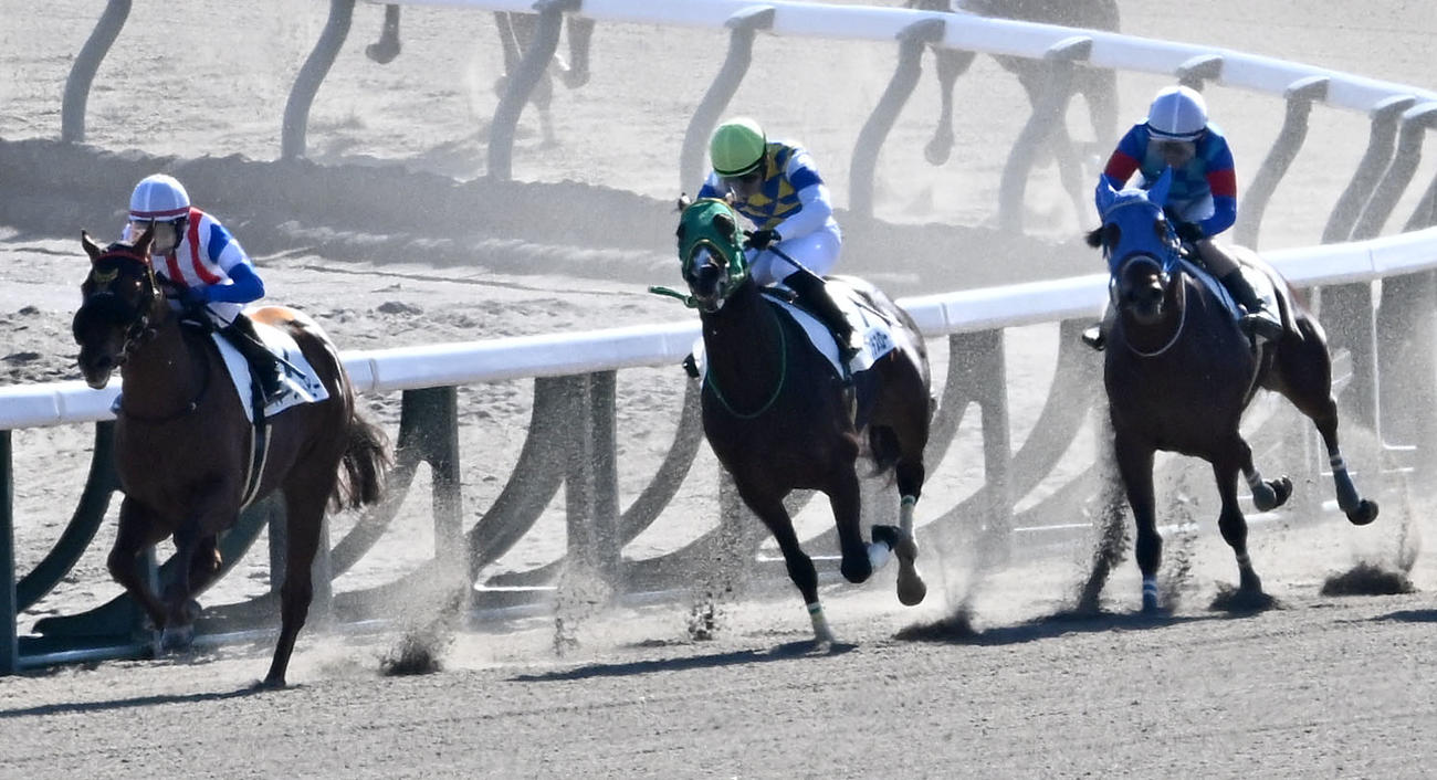 中山5R、3歳新馬戦を制したアドバンテスロードと横山琉騎手（中央）（撮影・千葉一成）