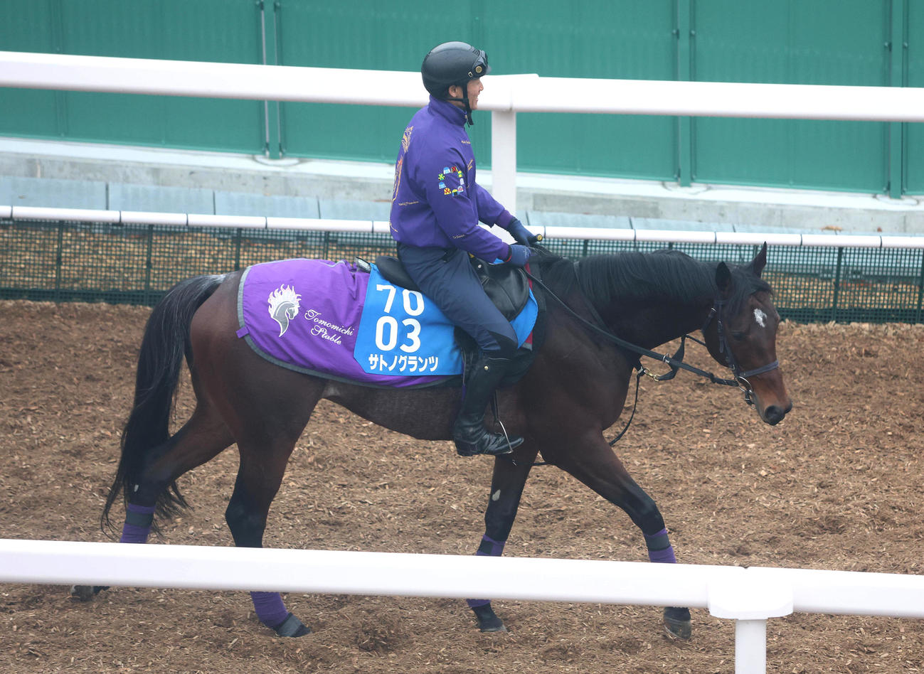 逍遥馬道で運動するサトノグランツ（撮影・白石智彦）