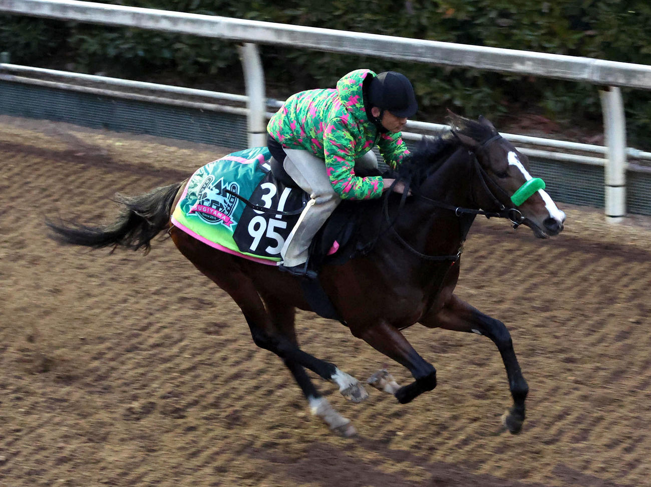 坂路を単走で追い切るゲルチュタール（撮影・白石智彦）