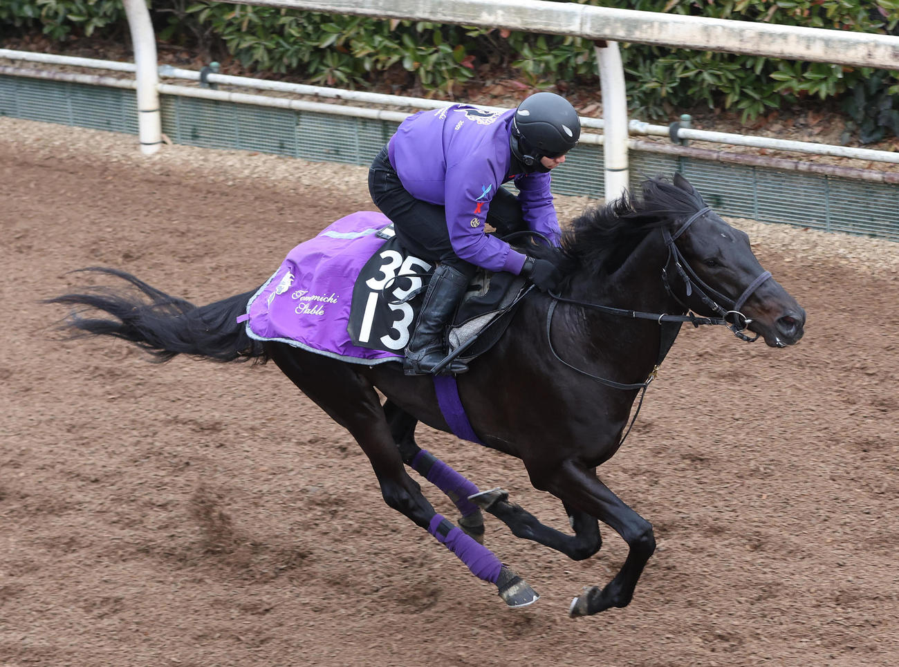 坂路を単走で追い切るパーティハーン（撮影・白石智彦）