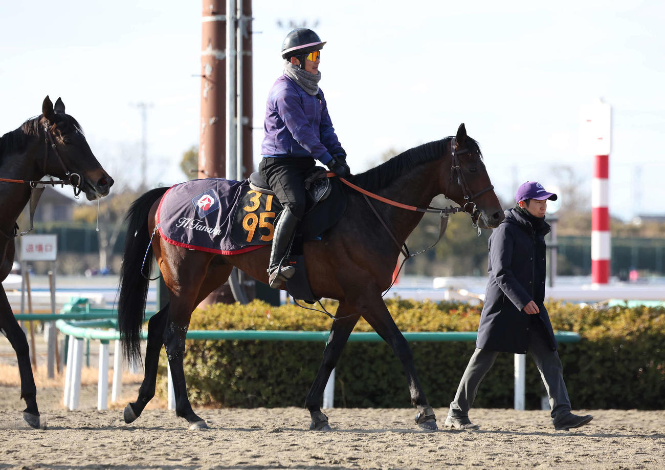 追い切りを終えて馬場を出るキングノジョーと田中博師（奥）（撮影・丹羽敏通）
