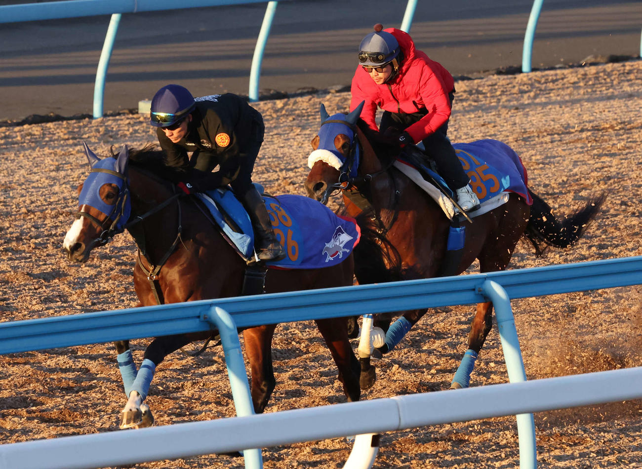 キングズパレス（右）は松岡騎手を背に美浦ウッドでコレクテイニアと併せて追い切られた（撮影・丹羽敏通）