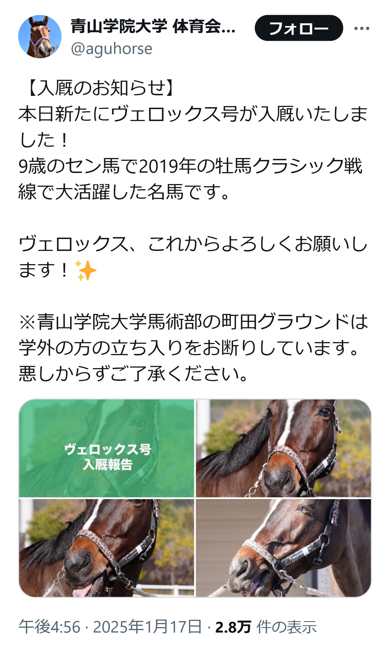 青学大馬術部のXから