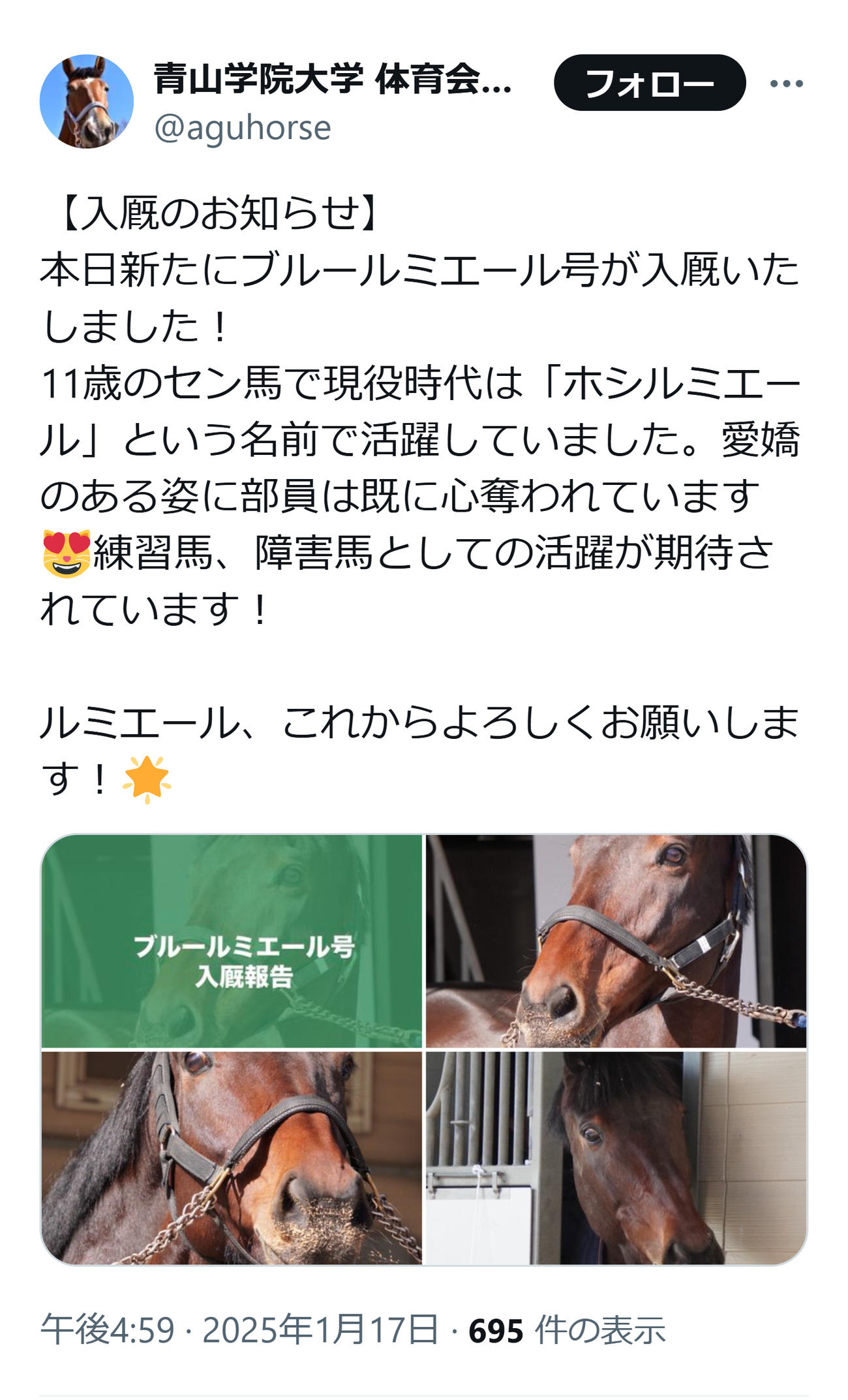 青学大馬術部のXから