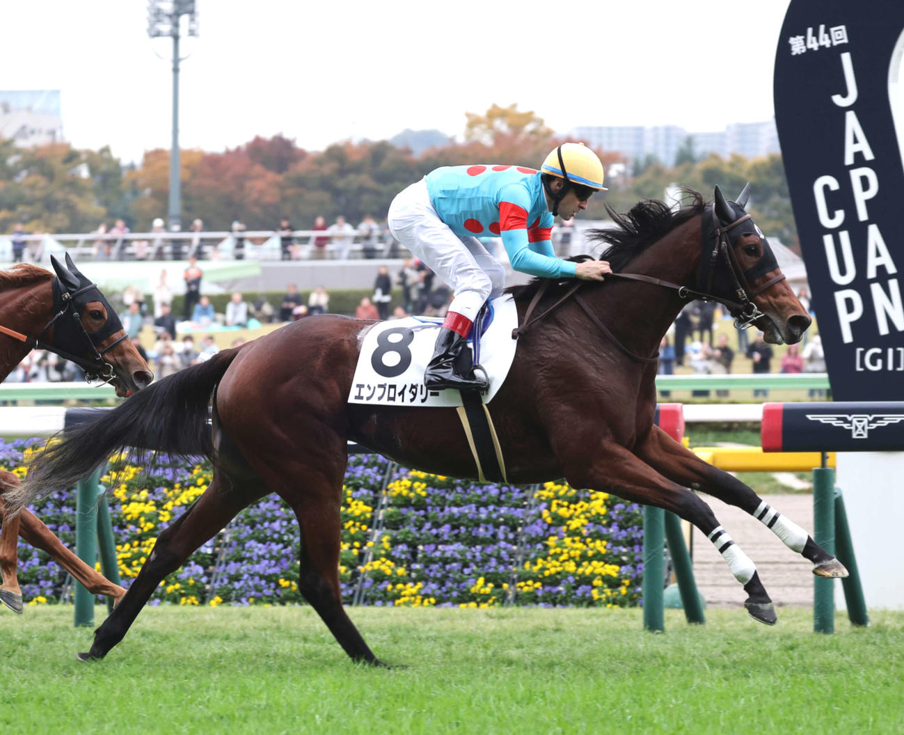 24年11月16日東京6Rの2歳1勝クラスを制したエンブロイダリー