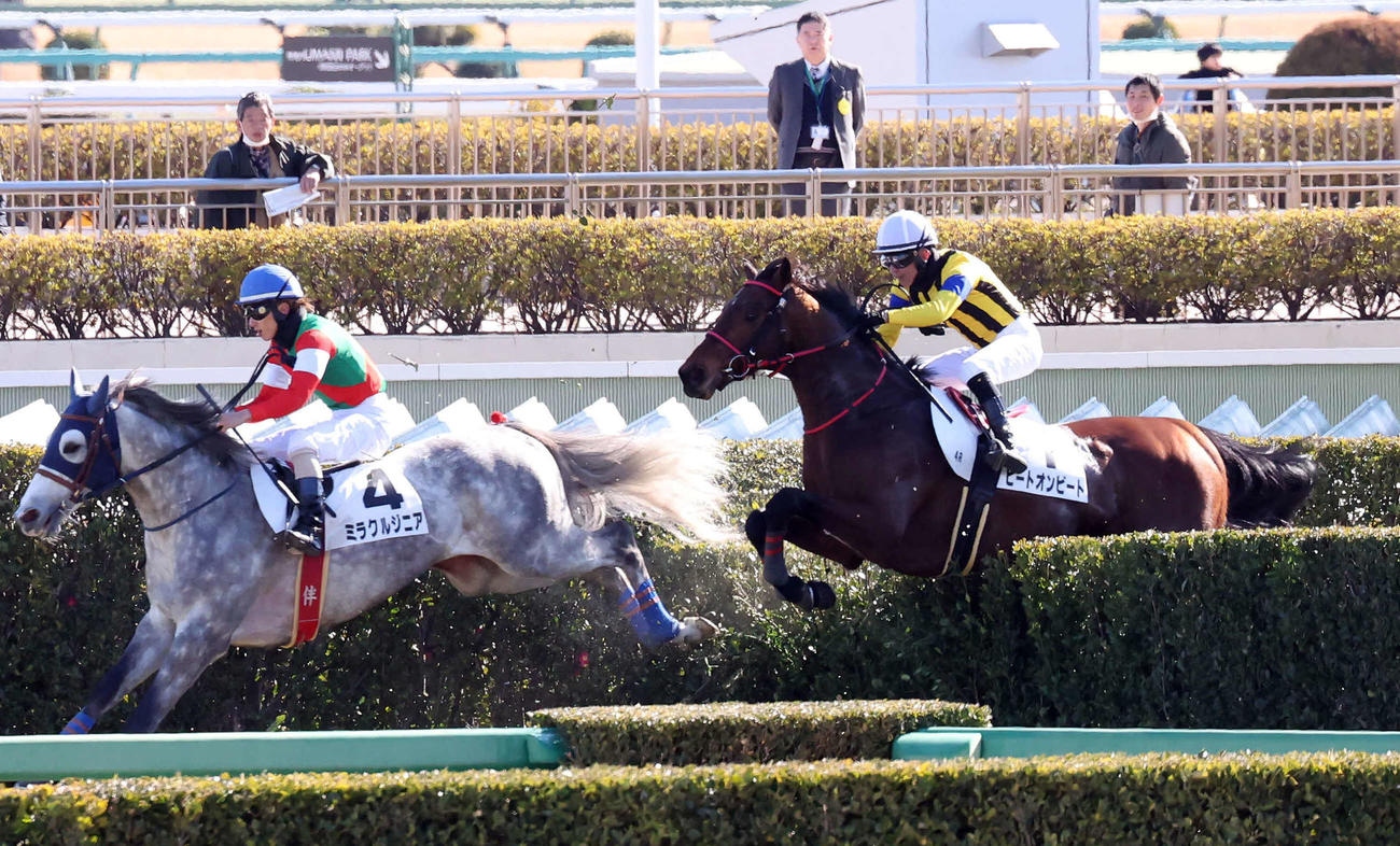 中山4R、障害4歳上未勝利戦を初出走で制したヒートオンビートと石神深騎手（右）（撮影・丹羽敏通）