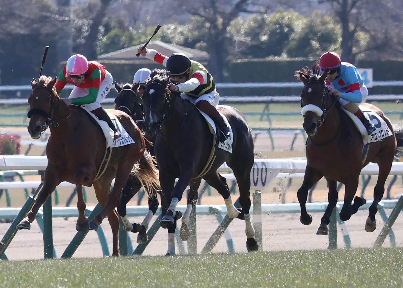 中山5R、3歳未勝利戦を制したシェーンシュティア（中央）。右は3着アロンズロッド（撮影・丹羽敏通）