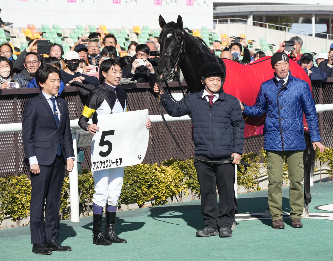 中京6Rで勝利したアスクセクシーモア（撮影・森本幸一）