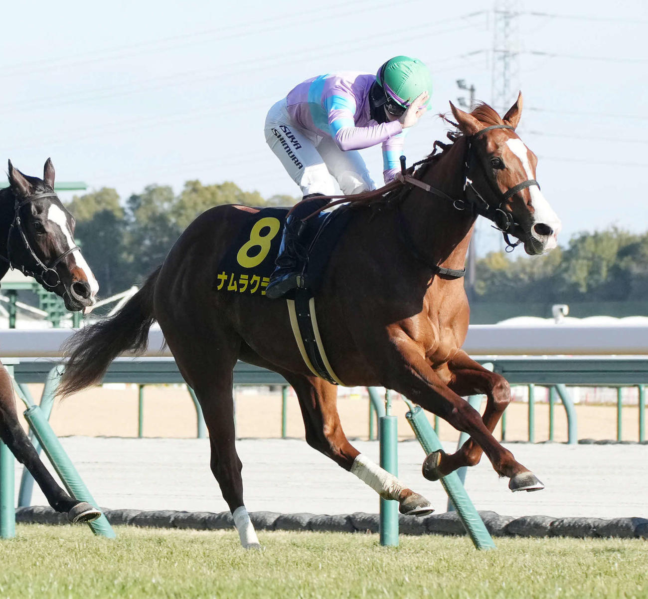 中京10R、ナムラクララで紅梅Sを制した西村淳騎手は愛馬の首をたたいてねぎらう（撮影・森本幸一）
