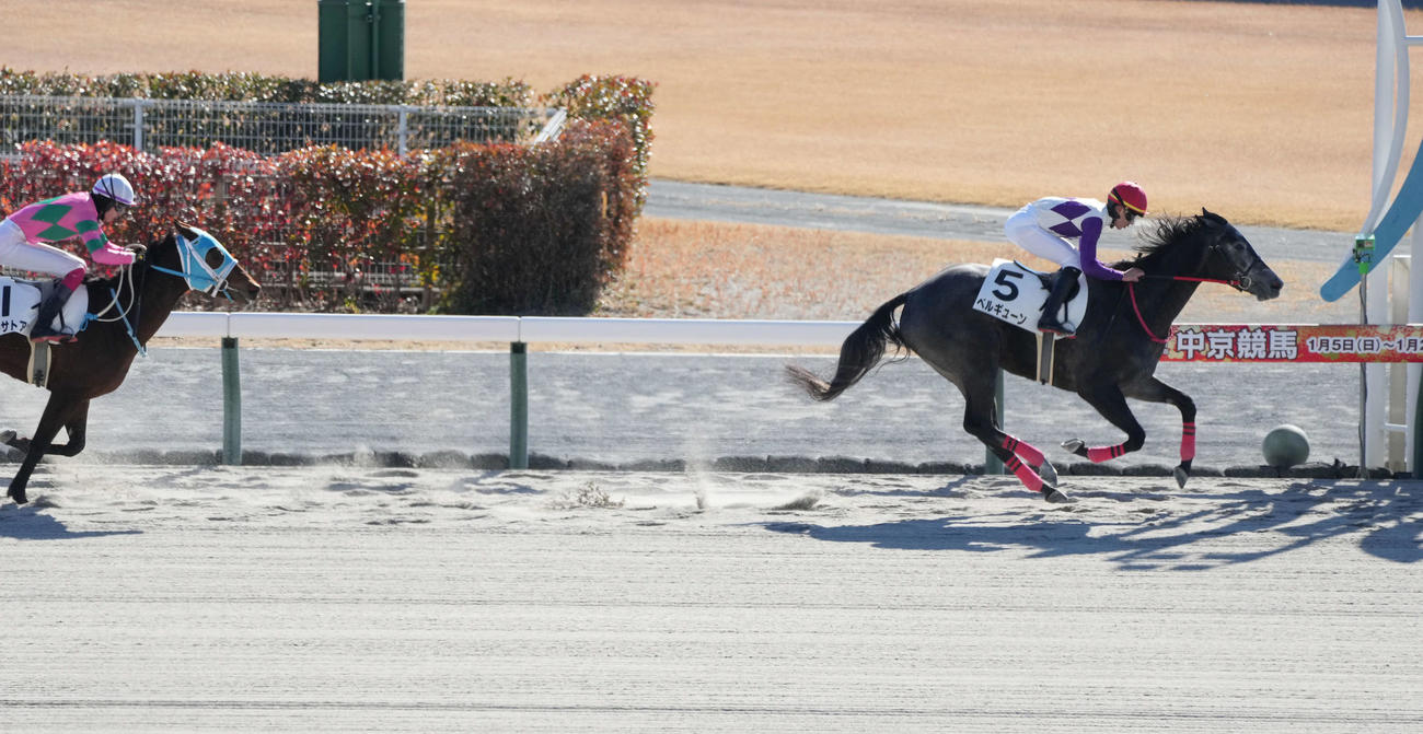 中京3R、2着馬に2馬身半差をつけたベルギューン（撮影・森本幸一）