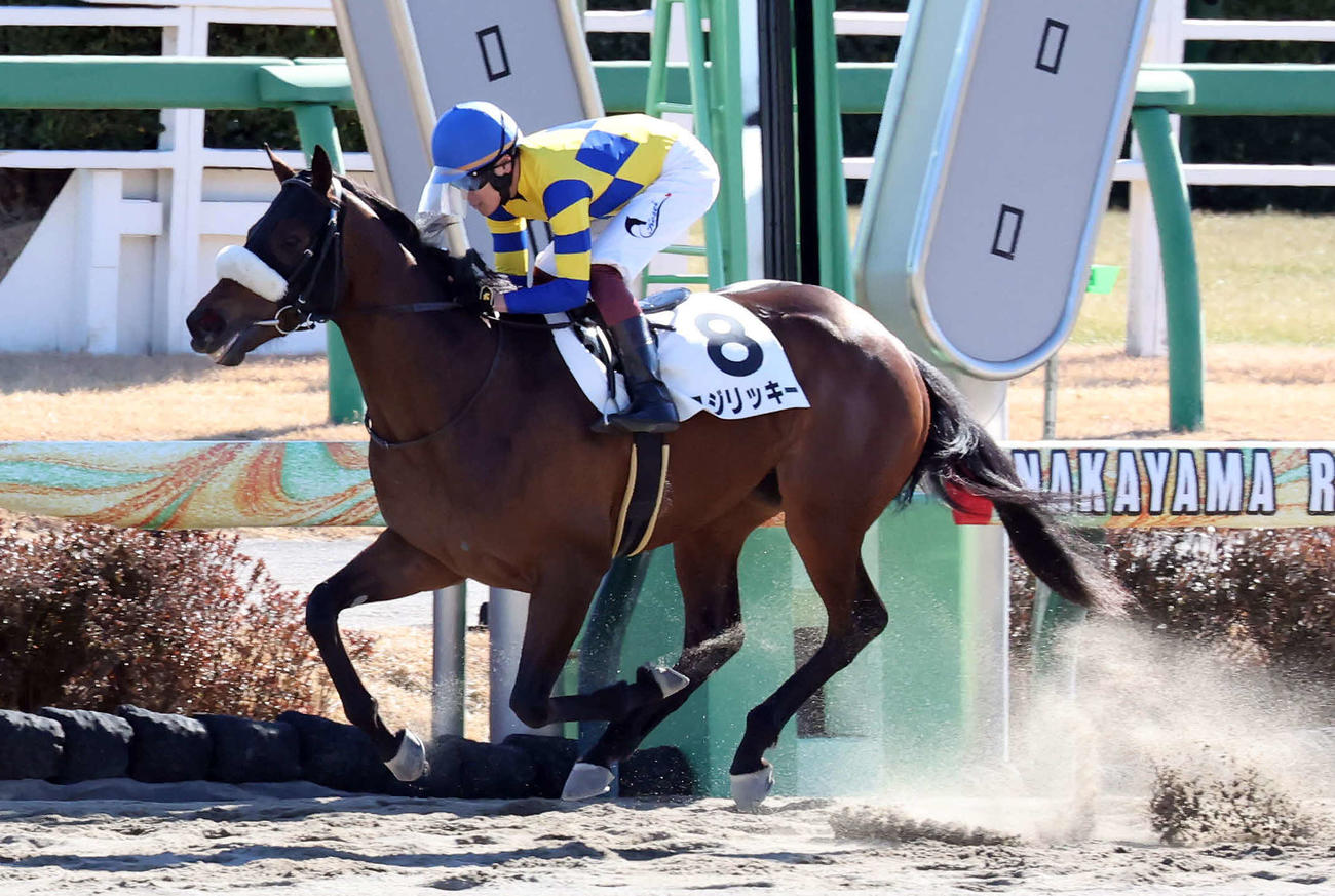 中山3R、3歳新馬戦を制したロジリッキーと三浦騎手（撮影・丹羽敏通）