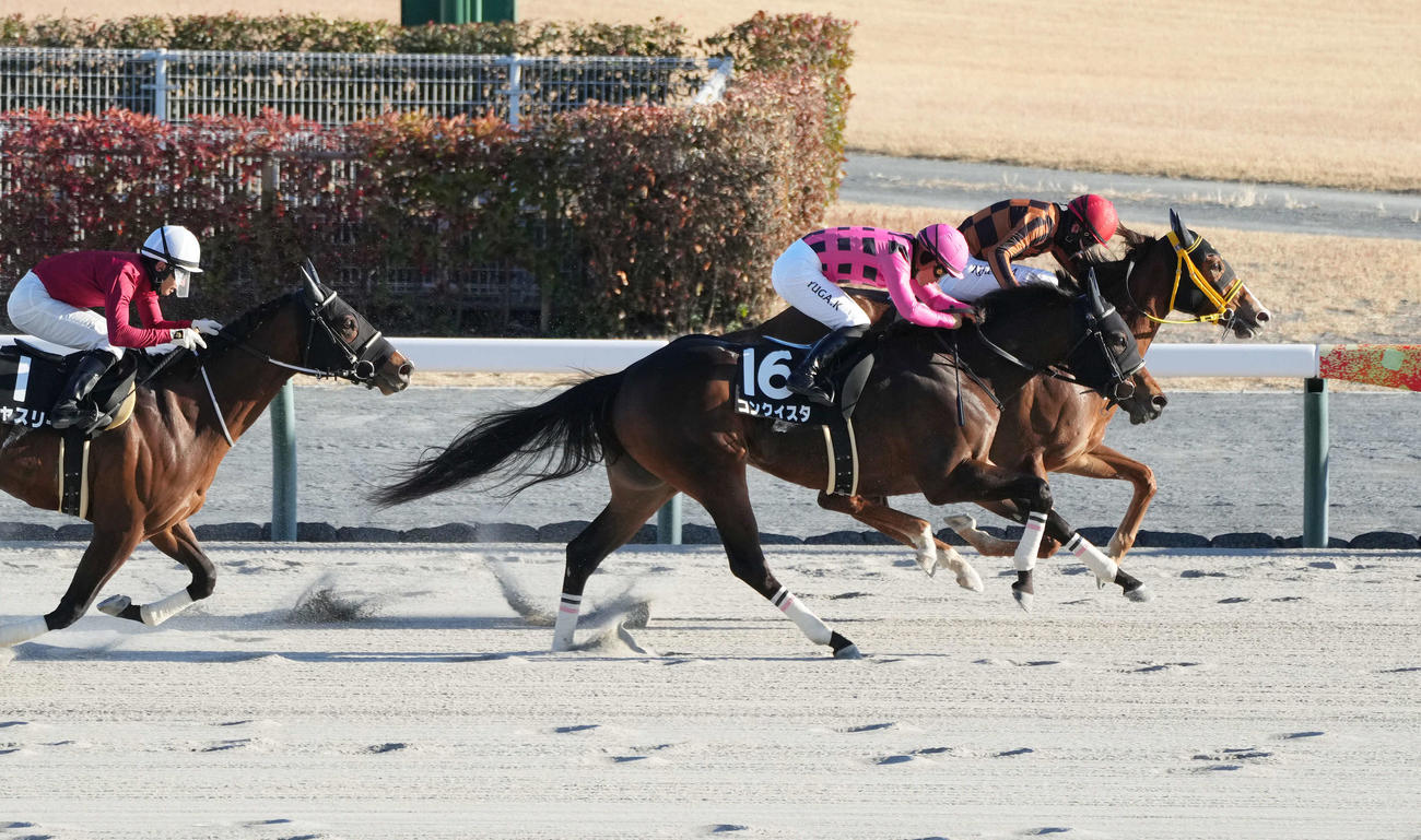 中京11R、直線の競り合いを制し、遠江Sを勝ったモズミギカタアガリと松山騎手（奥）（撮影・森本幸一）