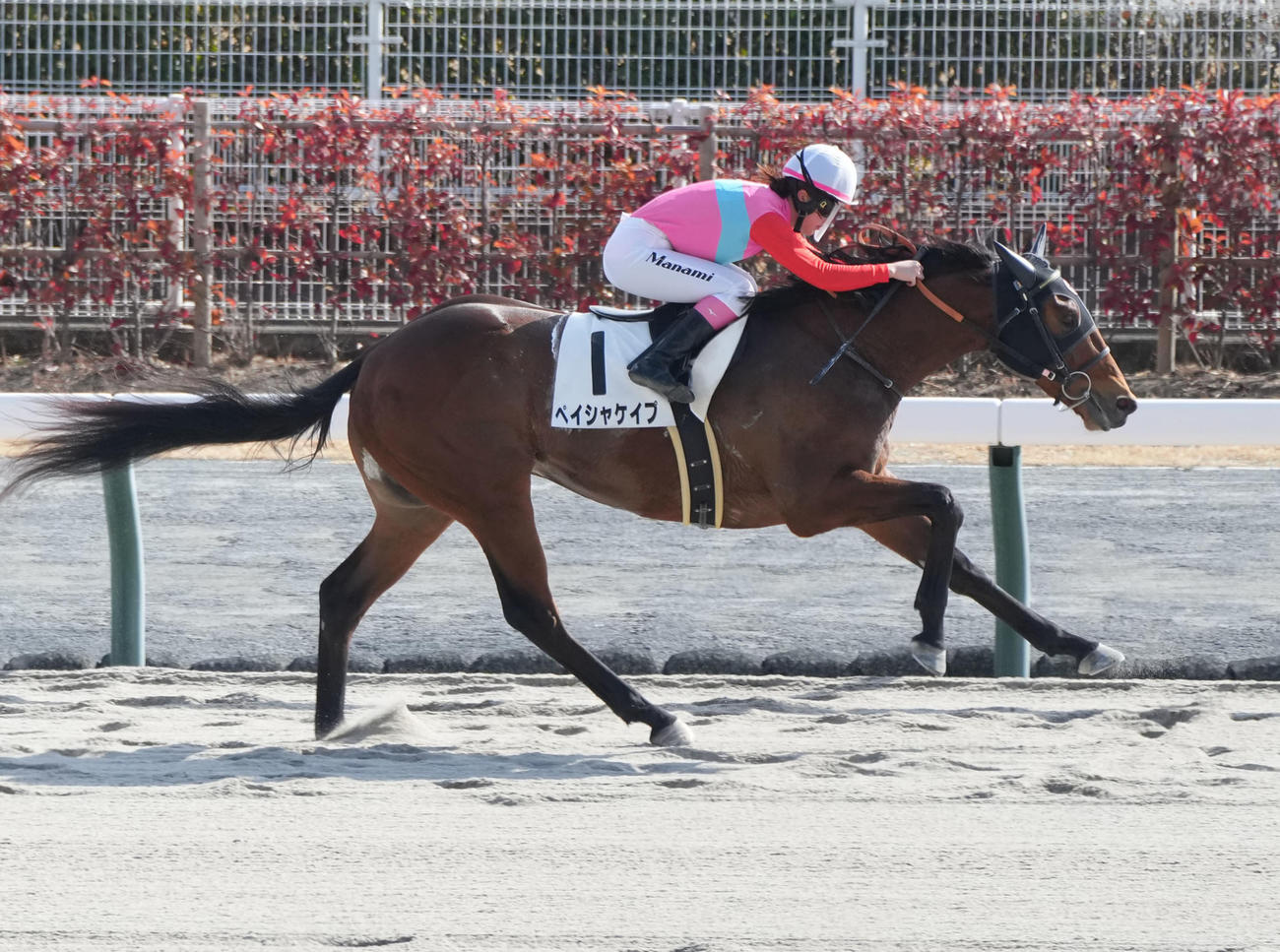 中京6R、1着の永島まなみ騎手騎乗のペイシャケイプ（撮影・森本幸一）