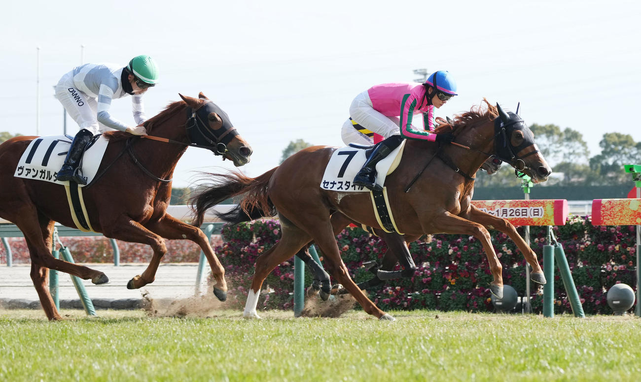 中京5R新馬戦で1着のセナスタイル（右）（撮影・森本幸一）