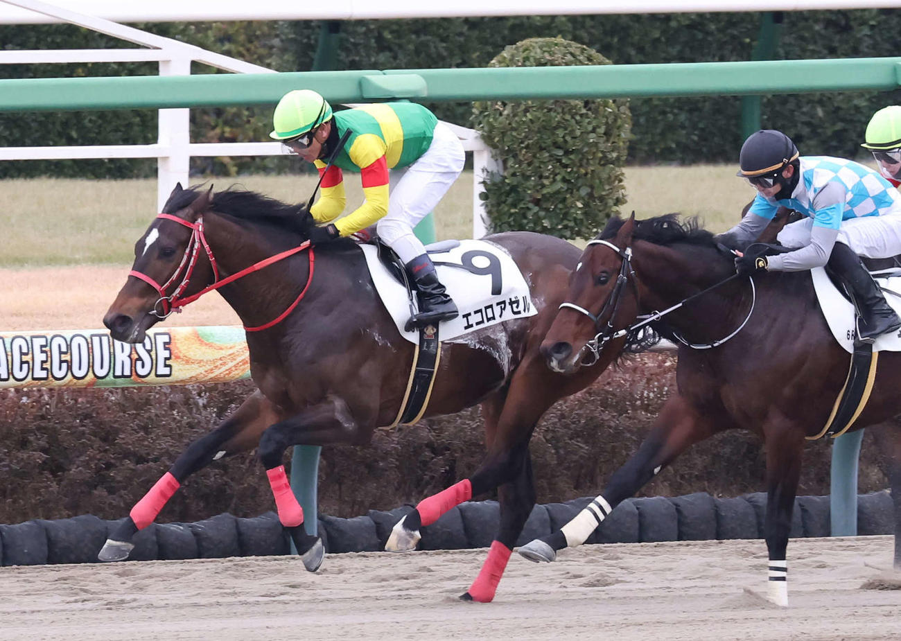 中山6Rの3歳1勝クラスを制したエコロアゼルと戸崎騎手（撮影・丹羽敏通）