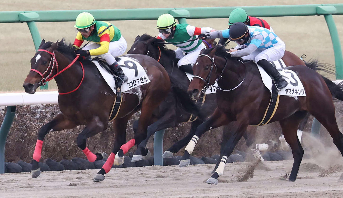 中山6R、3歳1勝クラスを制したエコロアゼルと戸崎騎手（撮影・丹羽敏通）