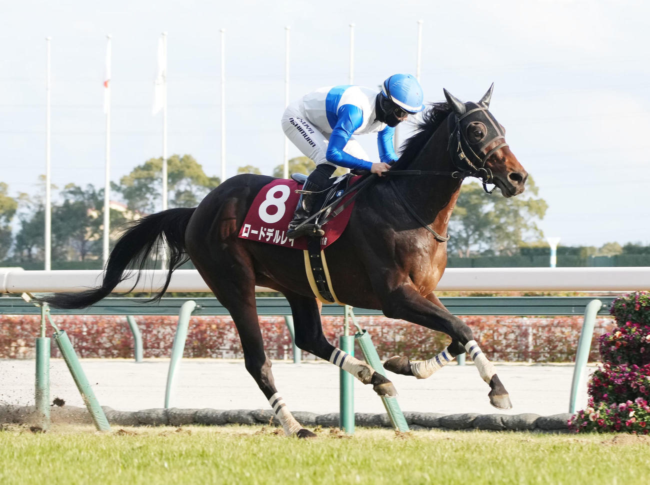 日経新春杯を制したロードデルレイ