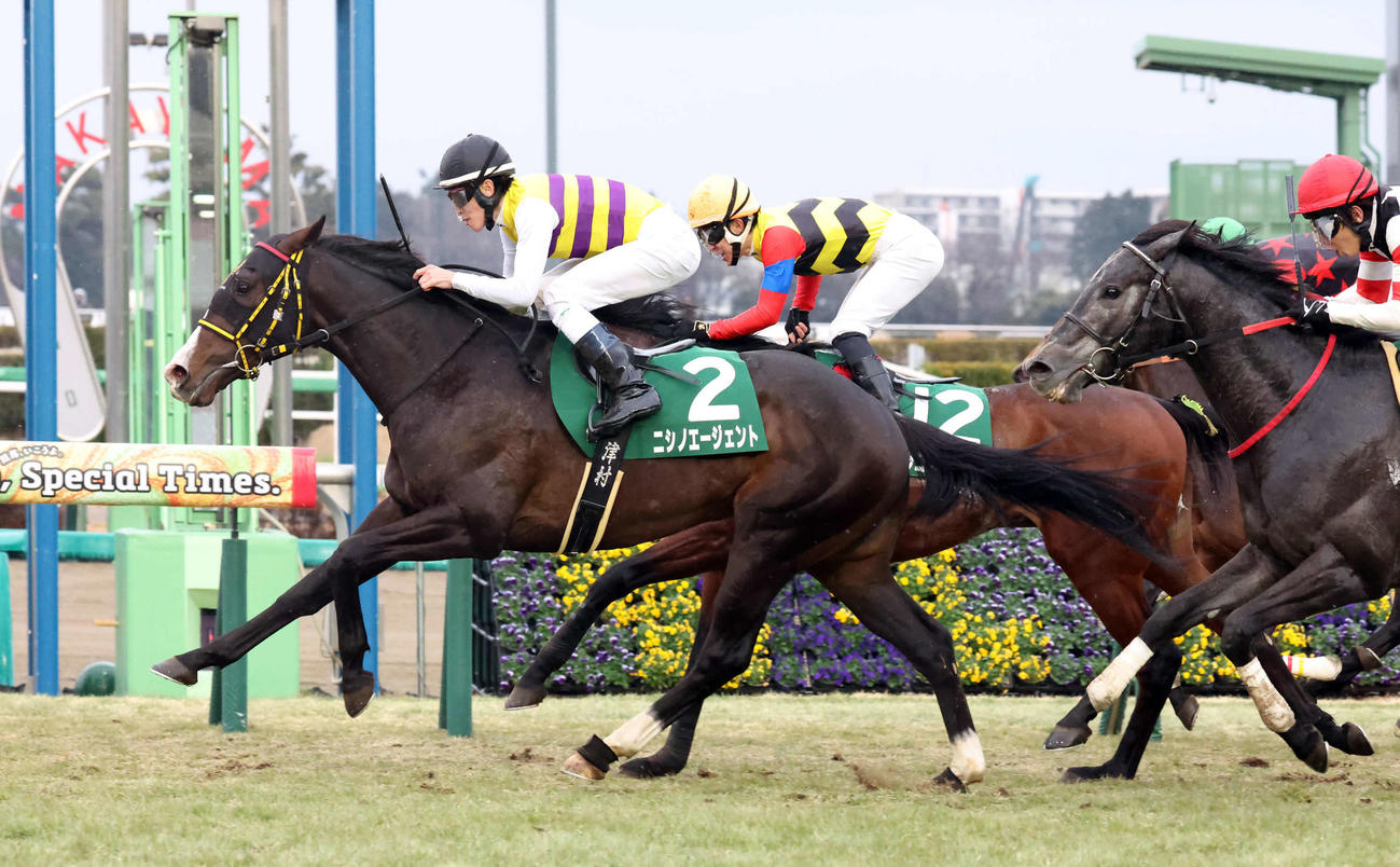 京成杯を制したニシノエージェントと津村騎手（撮影・丹羽敏通）