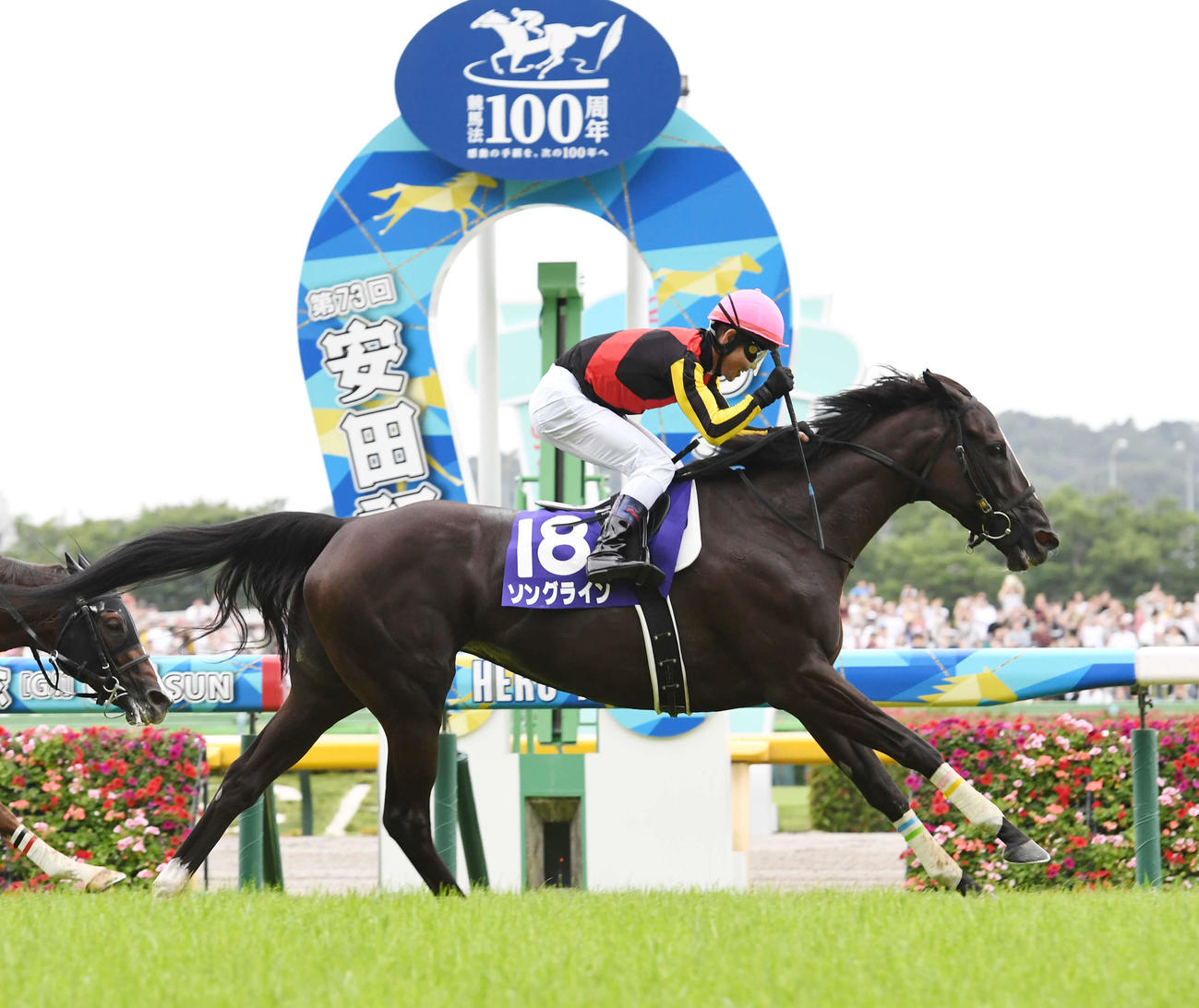 23年安田記念を制したソングライン