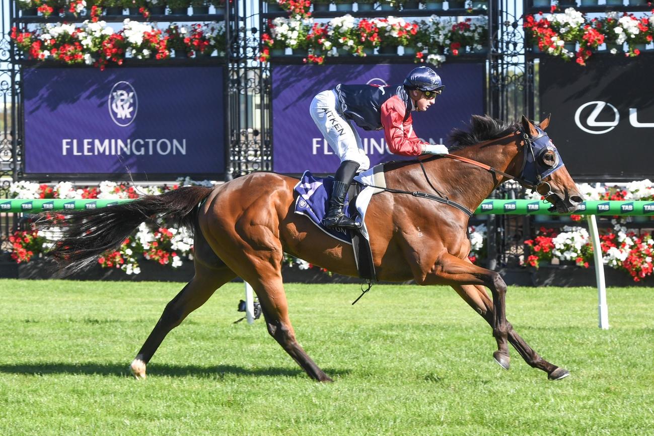フレミントン競馬場で勝利を挙げたニシノクレセント（C）RacingPhotos、ライジングサンシンジケート