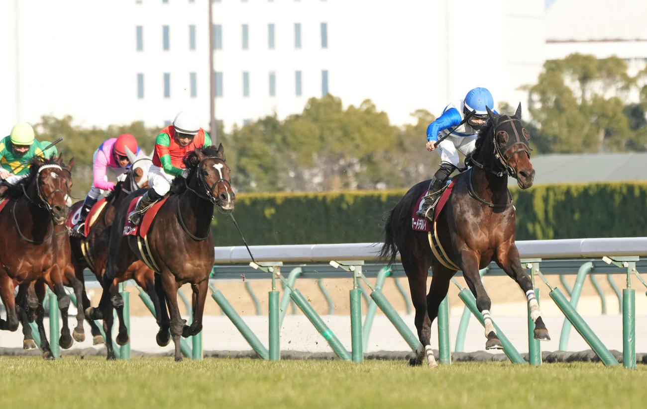 日経新春杯を制したロードデルレイ（右）