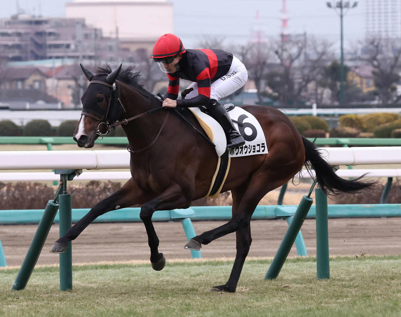 中山5R、3歳新馬戦を制したホウオウショコラと佐々木騎手（撮影・丹羽敏通）