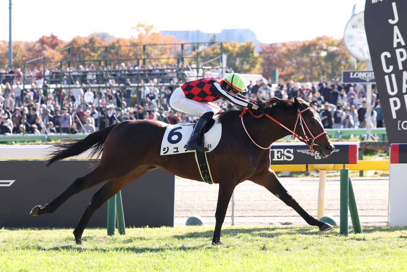 24年11月24日、新馬戦を制したジュタ