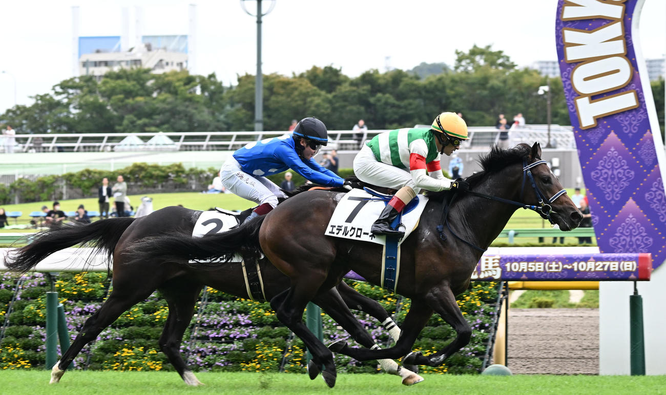 24年10月6日、2歳未勝利戦を制したエデルクローネ（右）