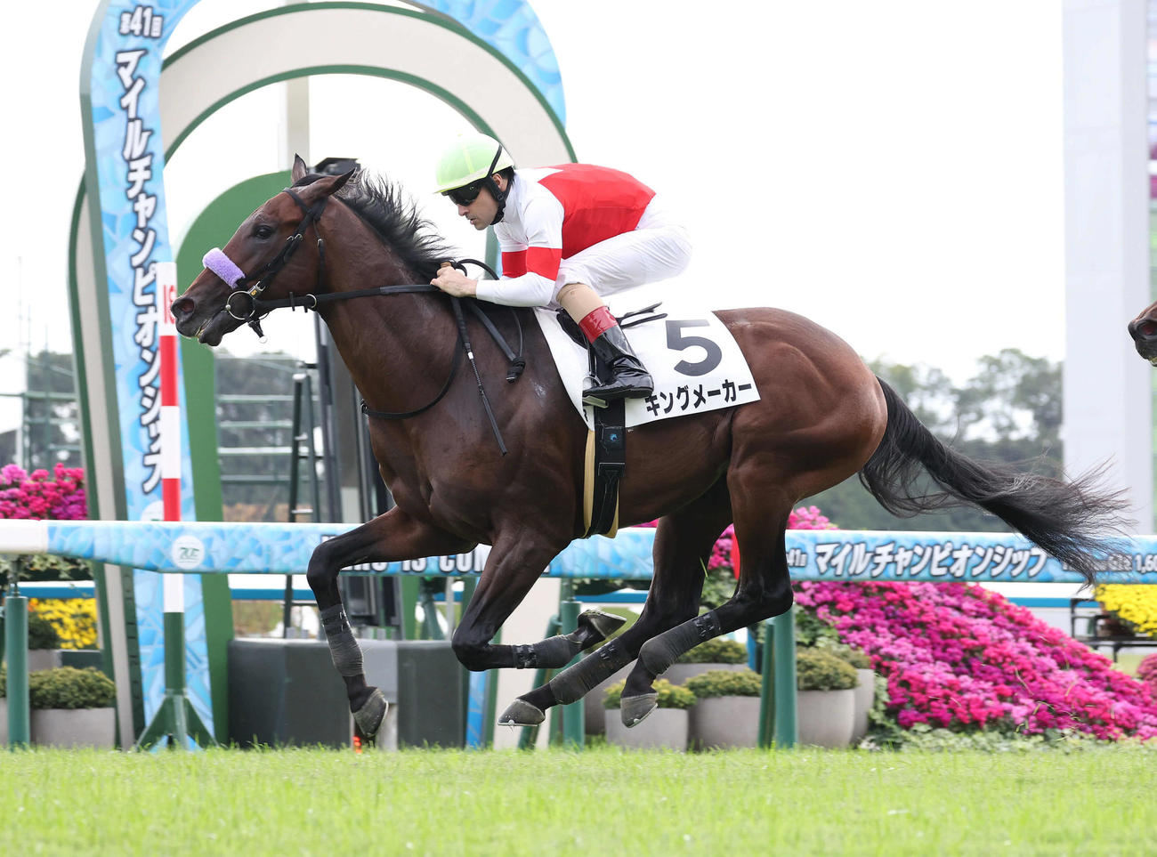 2024年11月17日、京都5Rの新馬戦を制したキングメーカー