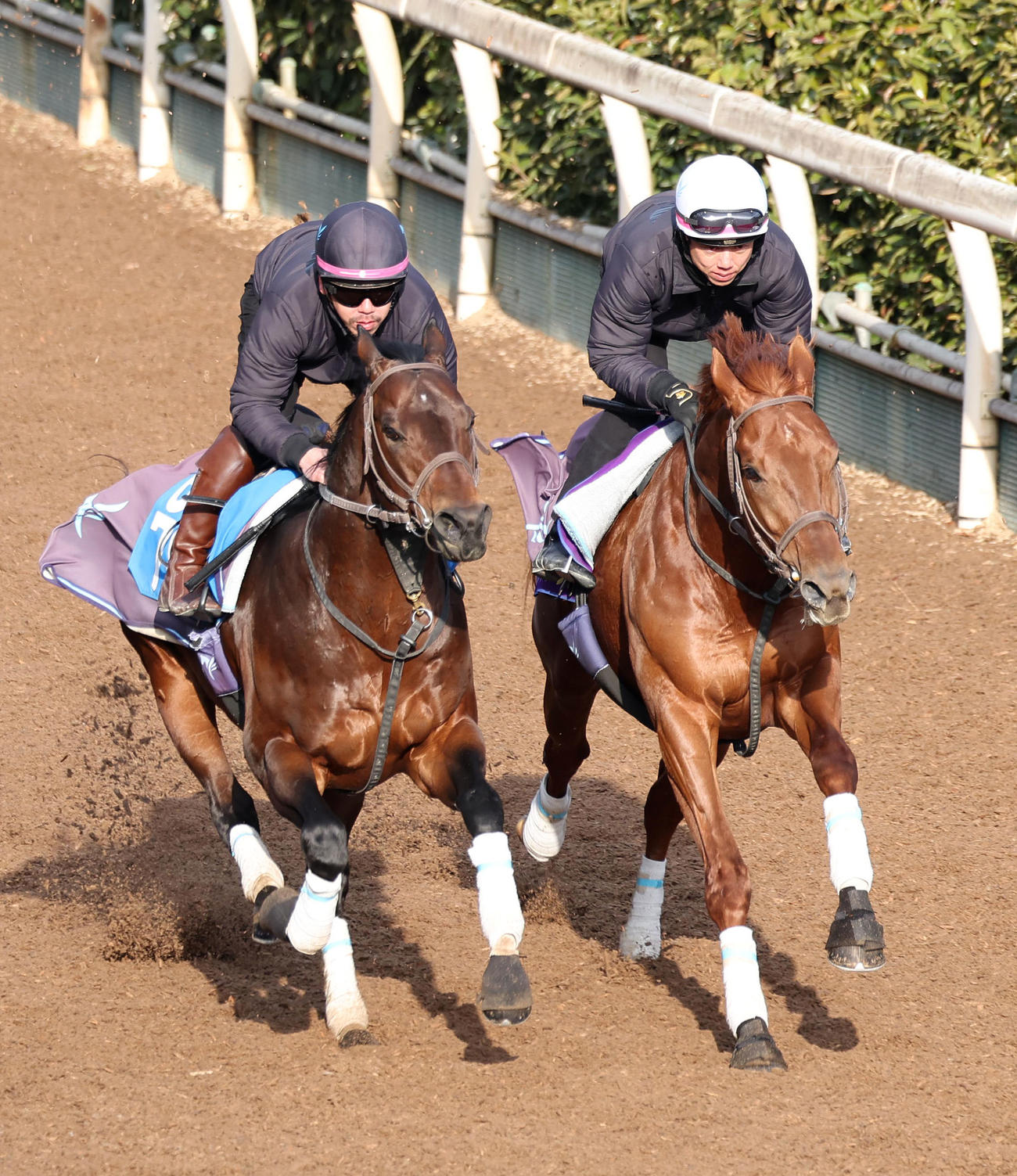 坂路をアルトシュタット（左）と併せ馬で追い切るダノンデサイル（撮影・白石智彦）