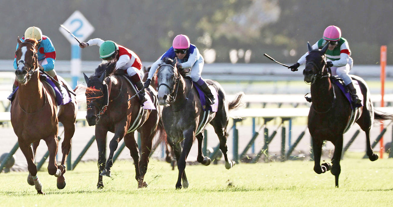 菊花賞2着に敗れたヘデントール（右端）。左端は勝ったアーバンシック